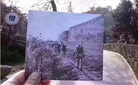 2017.12.13大屠殺紀念日