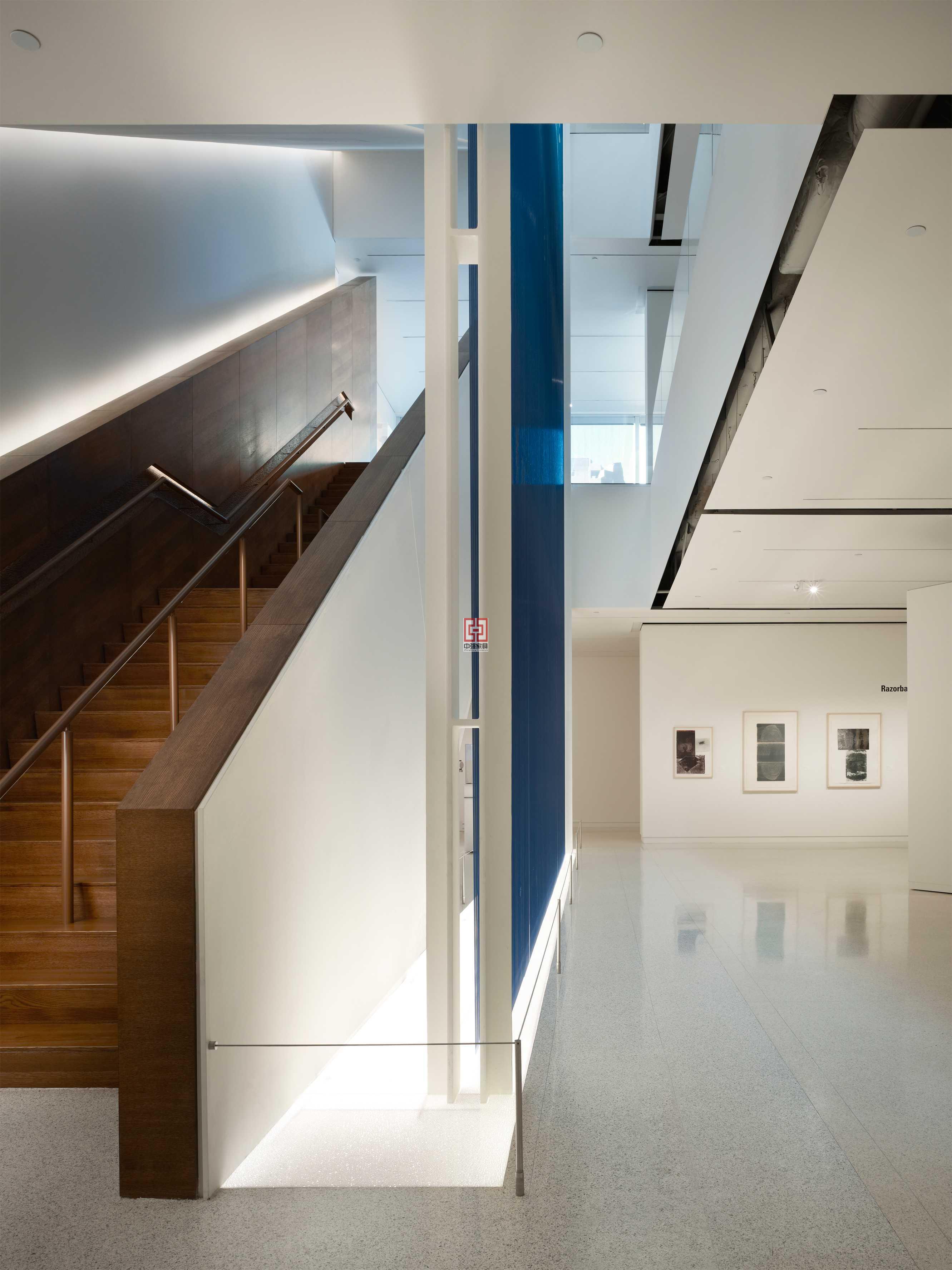 小弗雷德瓊斯藝術博物館斯圖亞特翼和阿德金斯畫廊增加_7